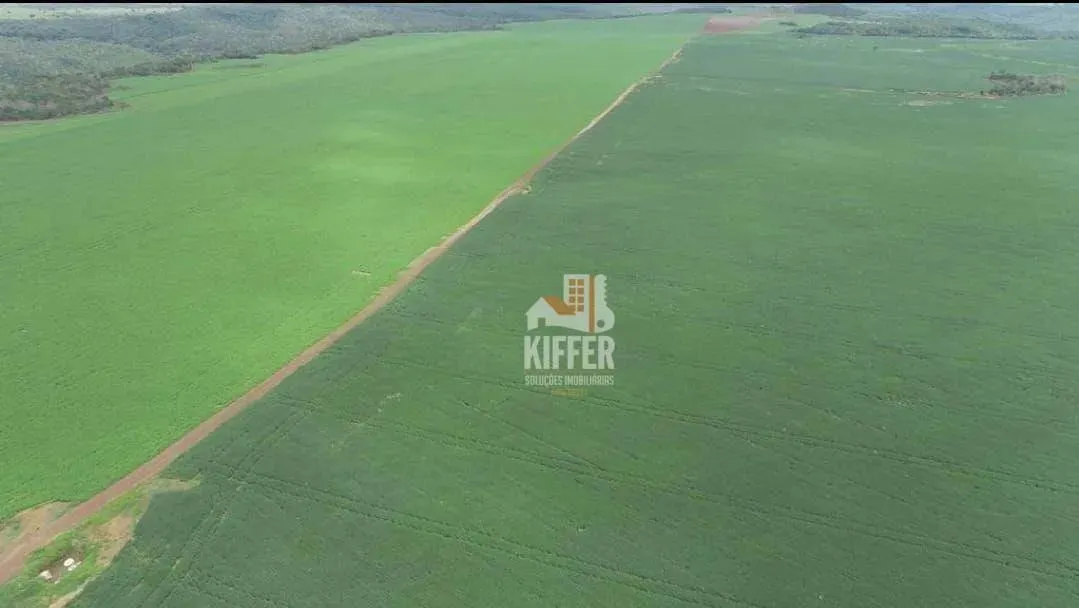 Fazenda com 4 dormitórios à venda, 12293600 m² por R$ 40.640.000,00 - Plano Diretor Sul -