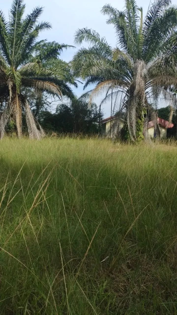 Oportunidade.Terreno (16.000 m²); preço R$ 1.000.000,00 (um milhão). Estuda-se proposta. - Foto 5