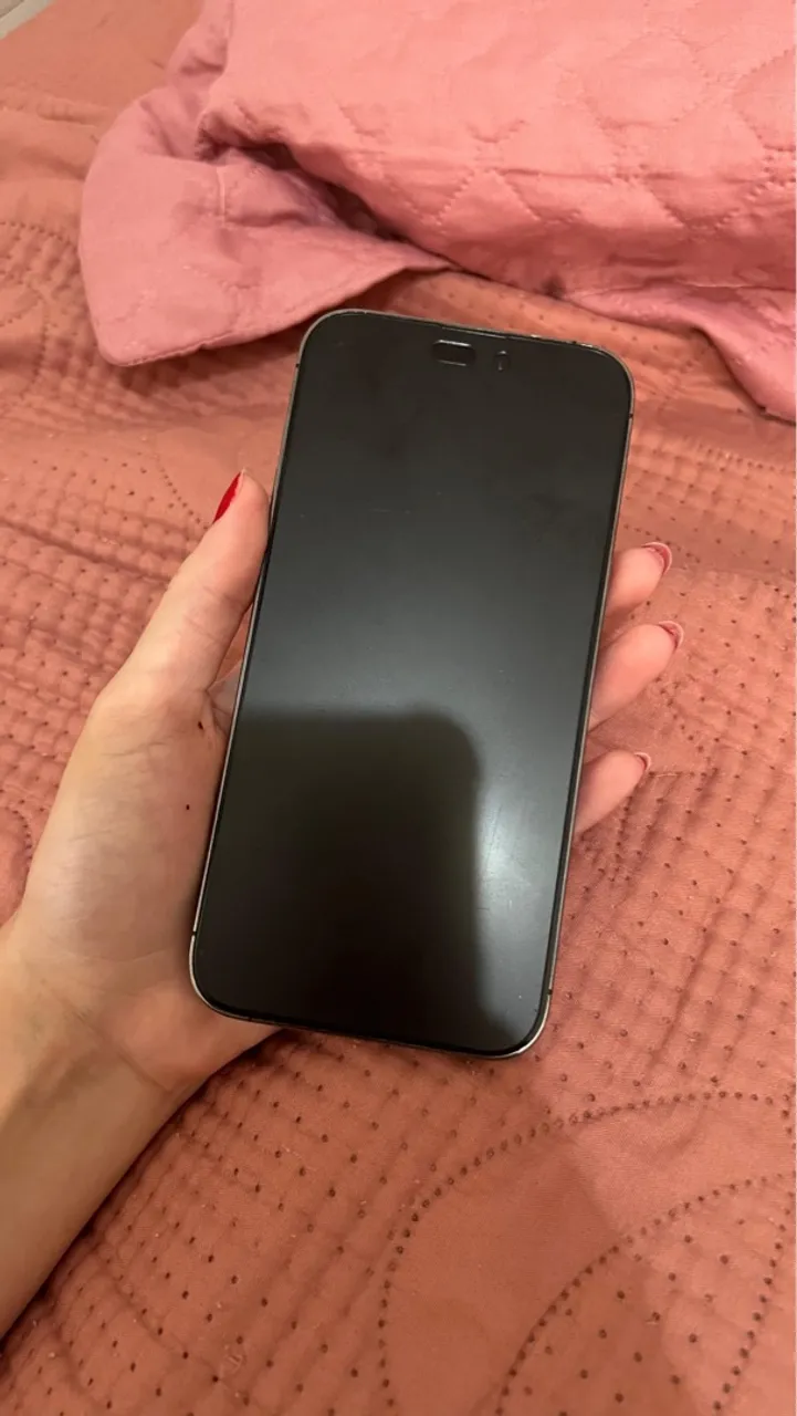 iPhone 14 Pro Max 256gb problema no display