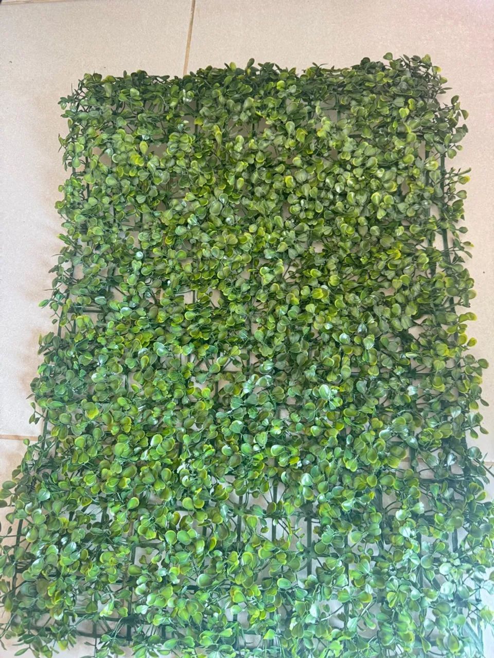 Graminha para fotos 15,00