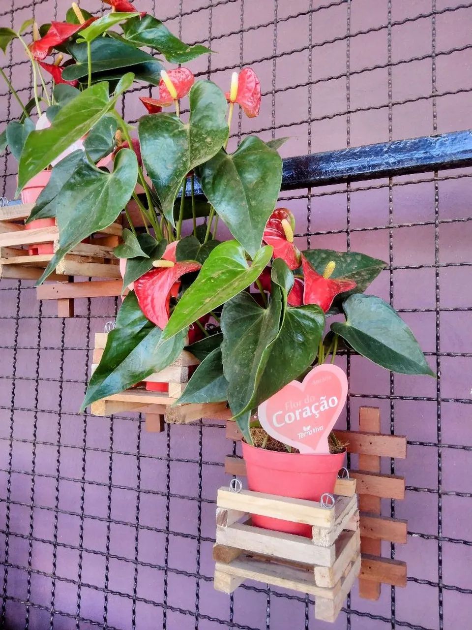 PAINEL DE MADEIRA PARA PLANTAS  - Foto 6