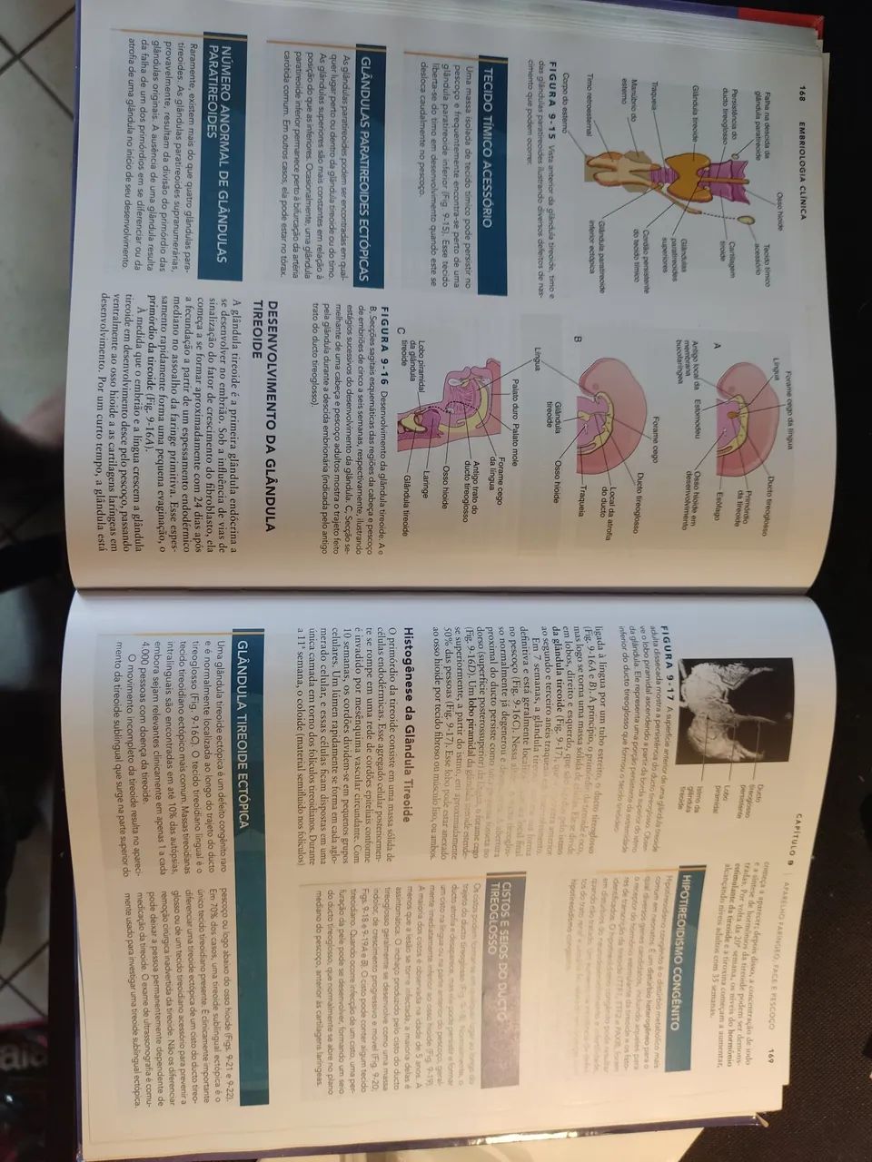 Embriologia Clínica 10ª edição - Keith  L. Moore - Foto 4