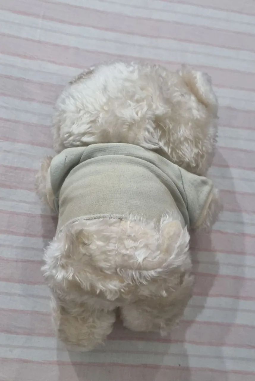 Antigo Boneco Urso de Pelucia Pakalolo - Item raro para Colecionadores - Foto 5