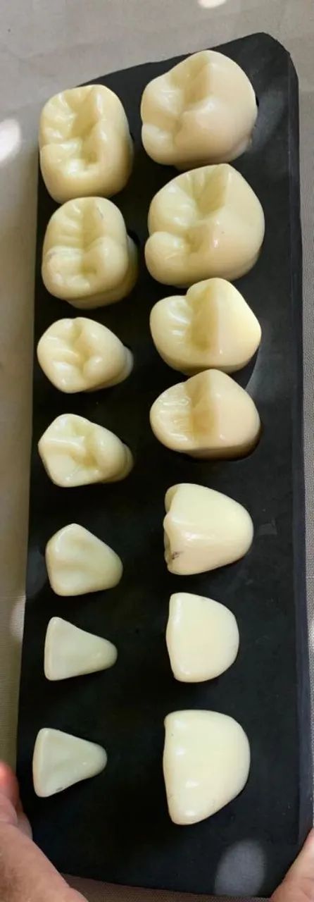 Modelos de Dentes Odontológicos - Foto 4