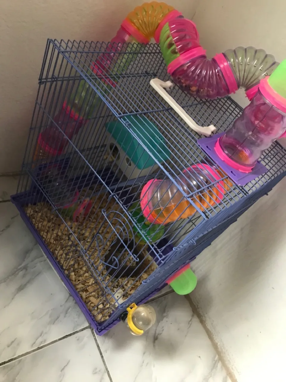 Gaiola para hamster/porquinho