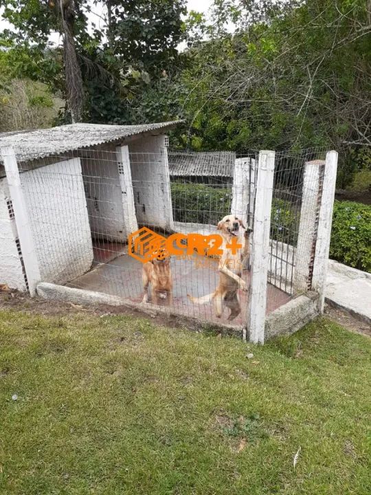 Chácara a Venda com 04 quartos 02 suítes na zona rural em Chã Grande 4 hec - Foto 12