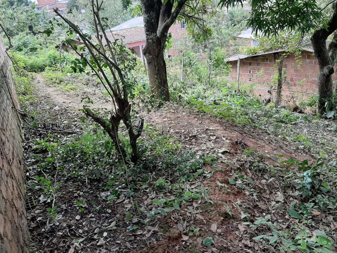 Terreno  Santa Mônica(aceito valor parcelado +entrada)) - Foto 4