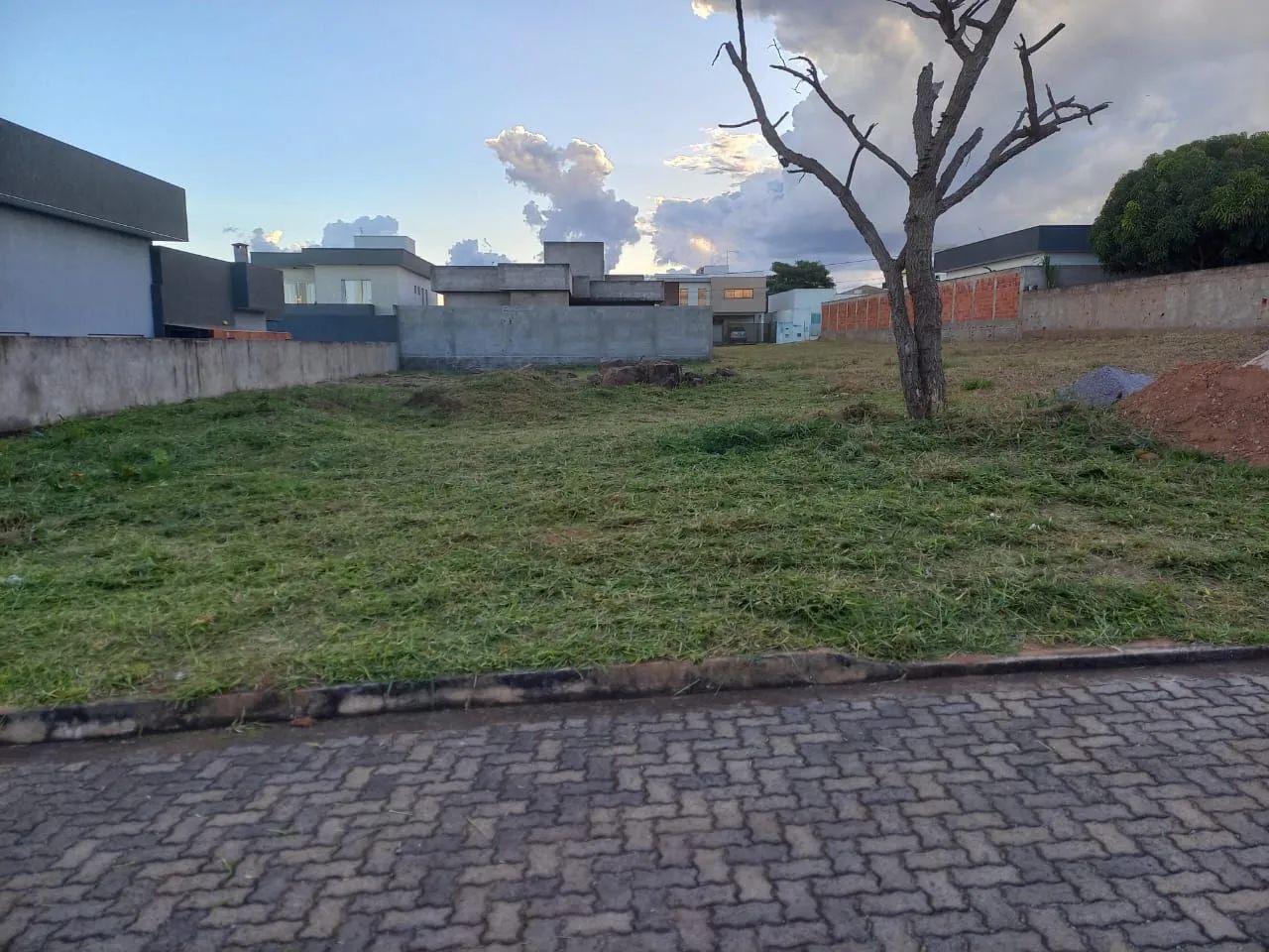 Oportunidade Rara - Foto 4