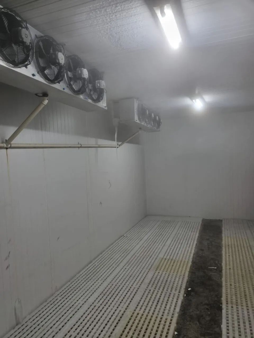 Camara Frigorifica  - Foto 2