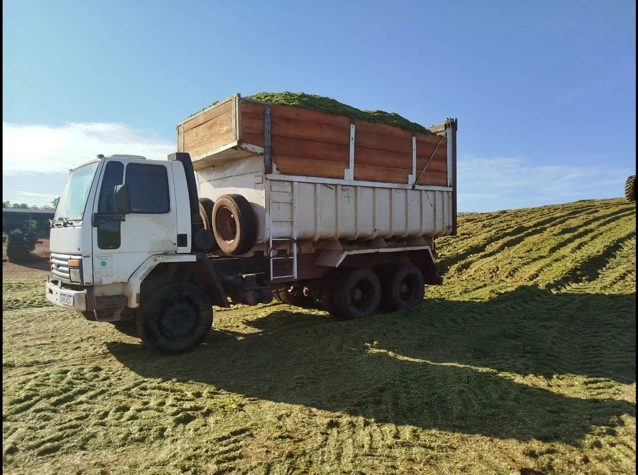 Ford Cargo 2422 traçado