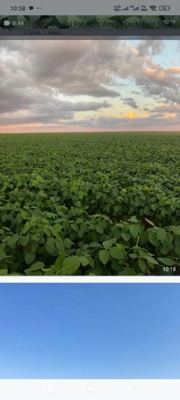 Fazenda de arrendamento 620hec em Itiquiras MT. - Foto 3