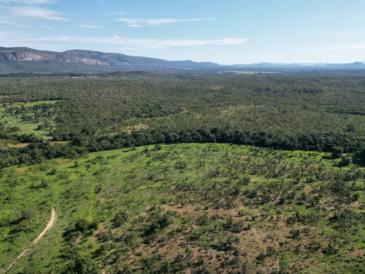 vendo fazenda na regiao de natividade fazenda de dupla aptidão.