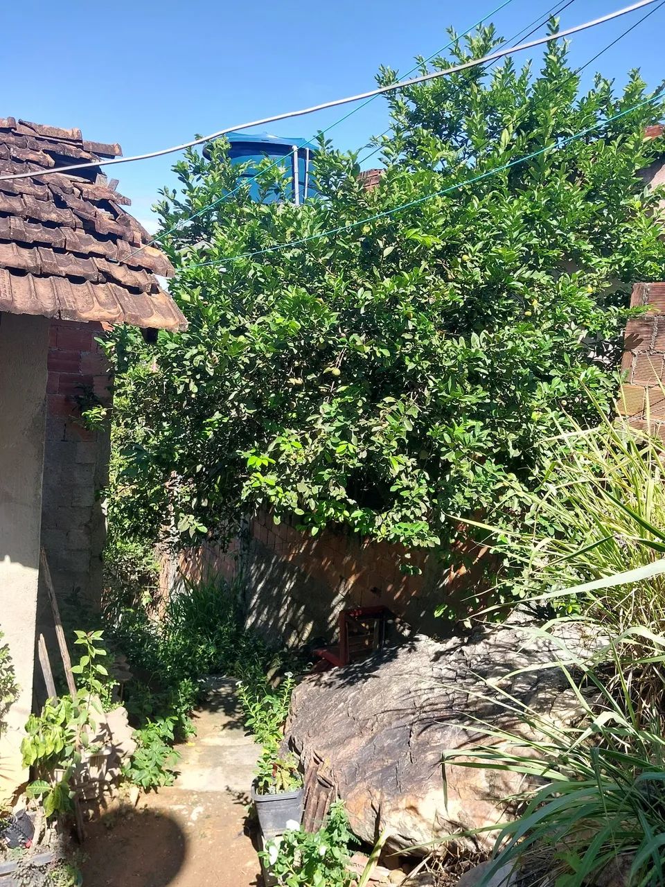 vê da de terreno  em nova grecia tribobo
