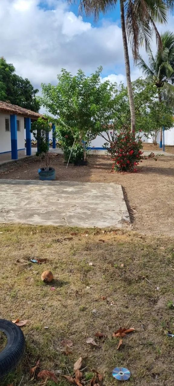 Vendo Chácara em N. Sra. das Dores - Foto 4