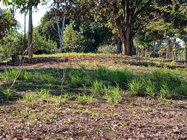 Vendo Terreno 800m²  - Foto 3