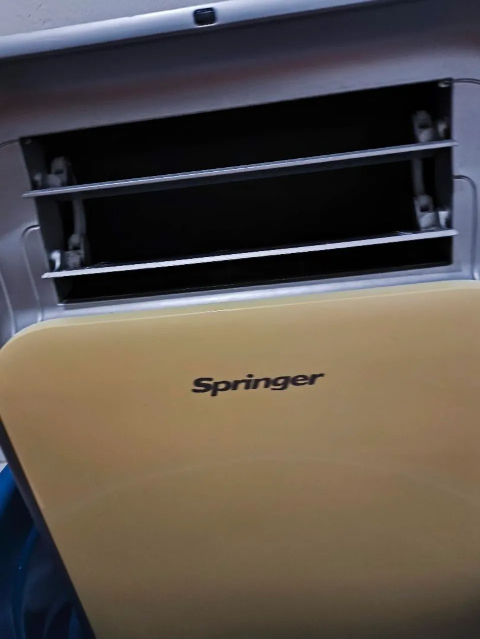 Springer 