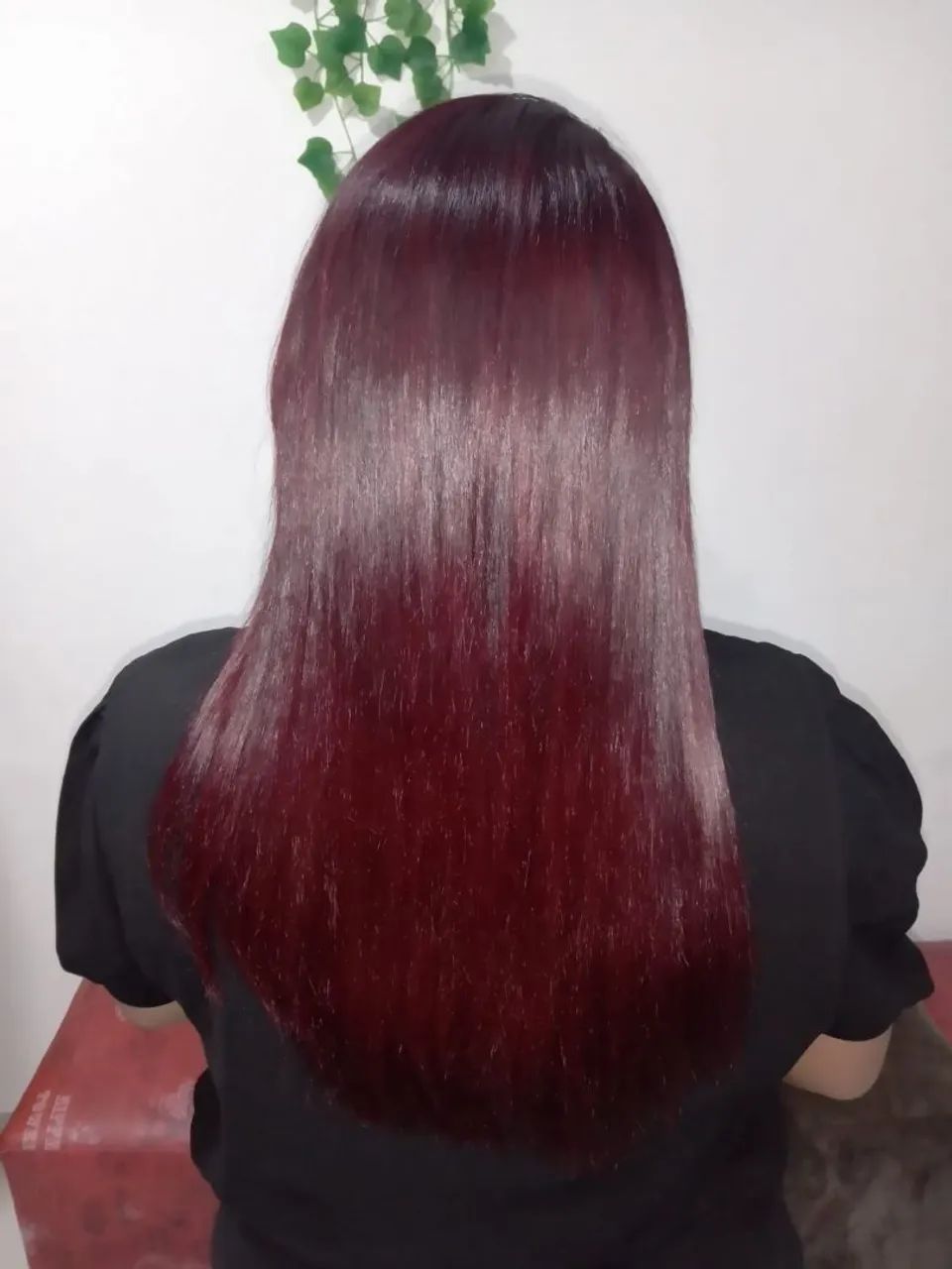 Selagem Natural orgânica - Foto 4