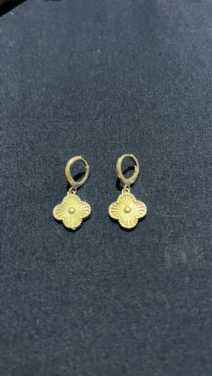 Brincos semi joia 
