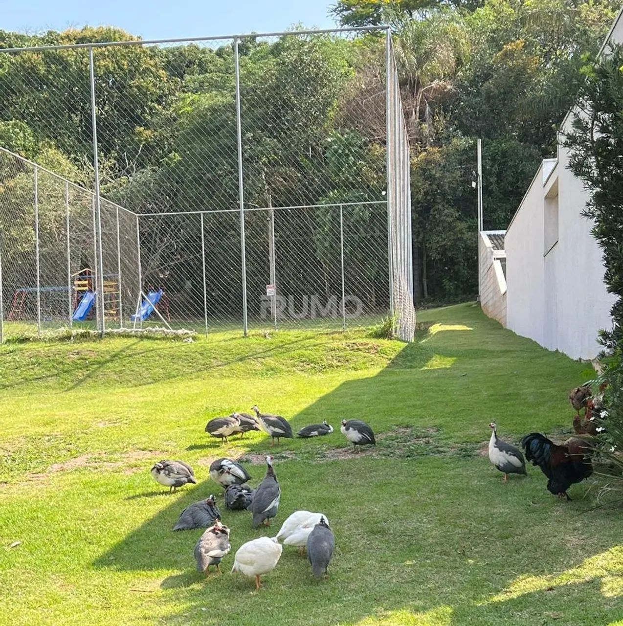 Terreno à venda em Valinhos, Samambaia, com 340 m², Flor da Serra - Foto 4