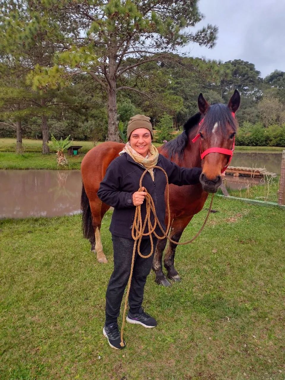 Cavalo Crioulo - Foto 3
