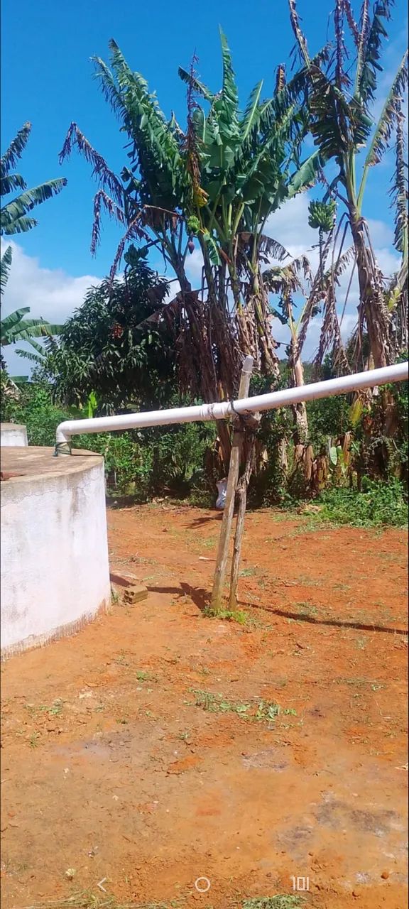 Chácara e ponto comercial em Alagoa Nova, Sítio Geraldo - Foto 3
