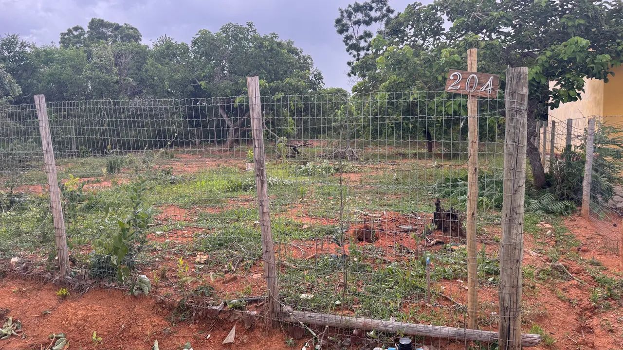 Lote Caetanopolis  - Foto 2