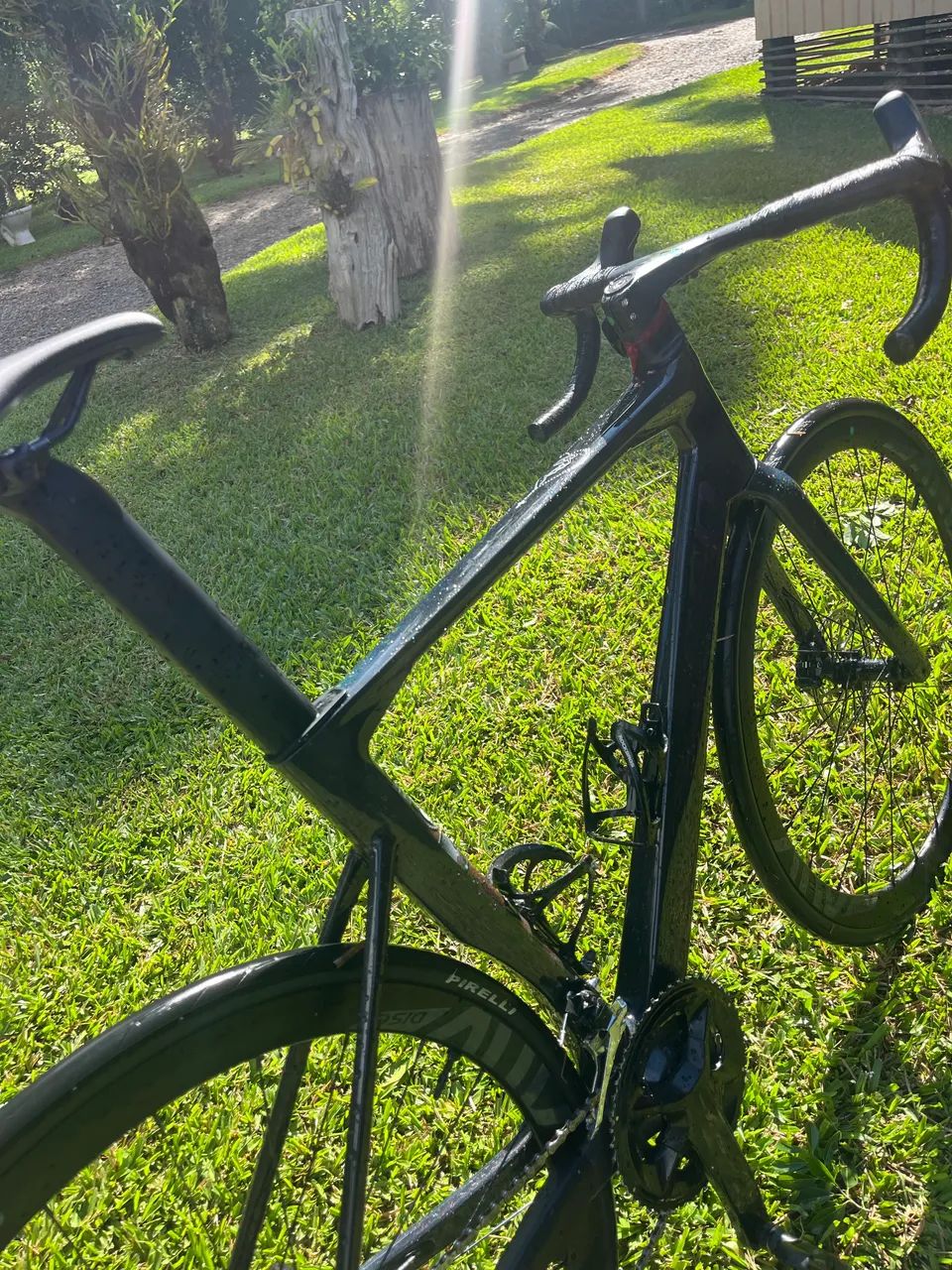 Speed carbono  - Foto 2