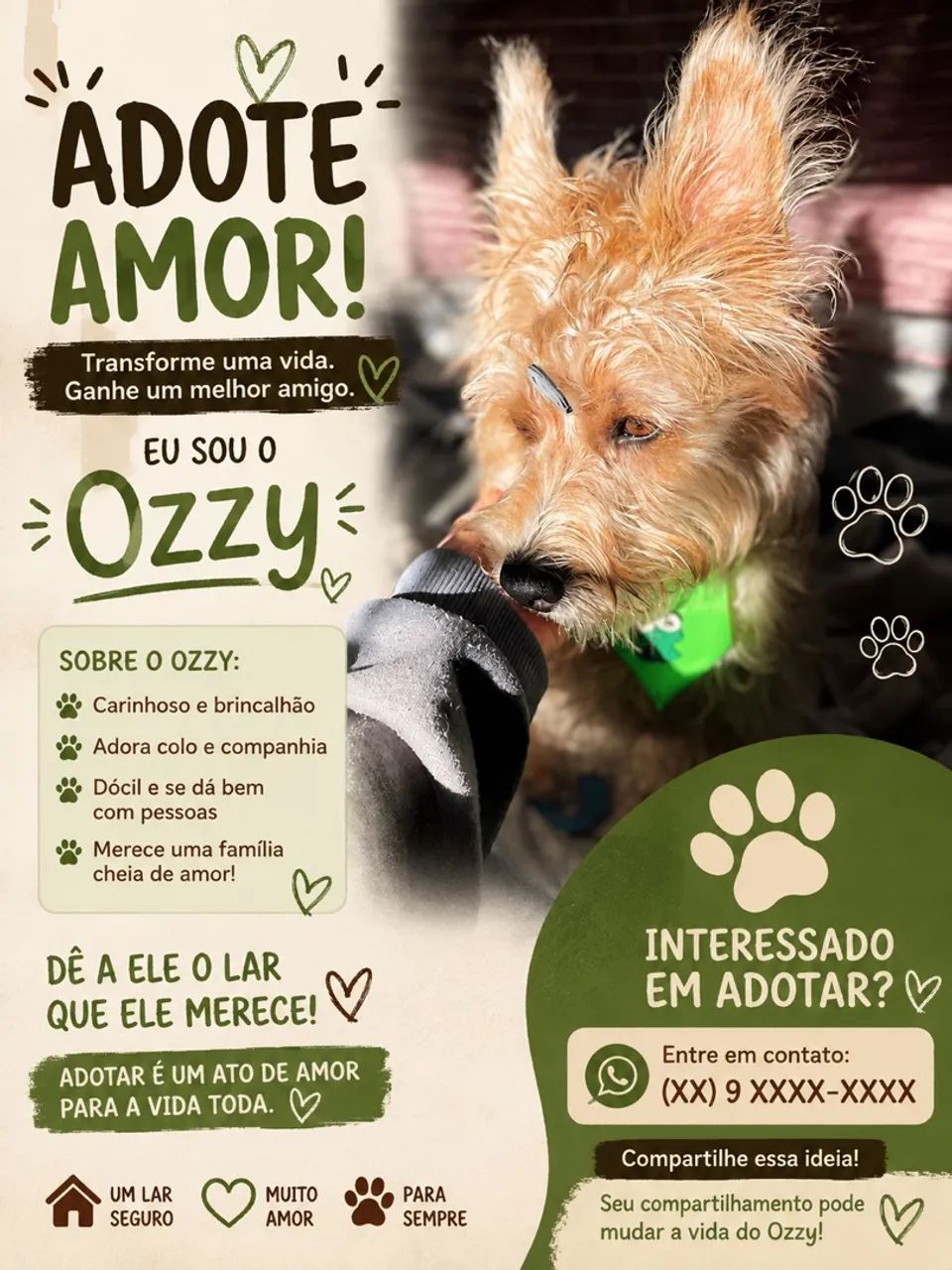 Doação de cachorro 