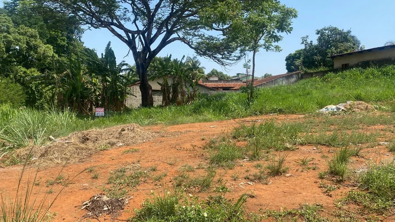 Lote Incrível no Jardim Botânico