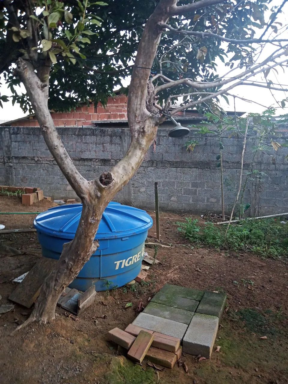 Foto - Cariacica - Jardim Campo Grande