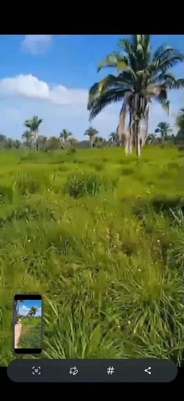 Terra venda  - Foto 2