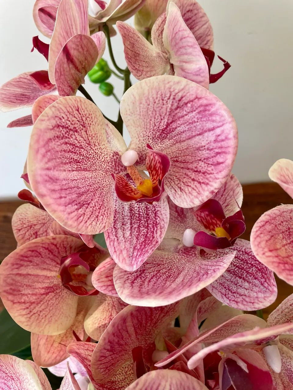 Arranjo de Orquídeas Permanentes - Foto 4