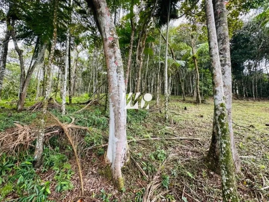 Terreno no Condomínio Rural Village Imperatriz - imv - Foto 2