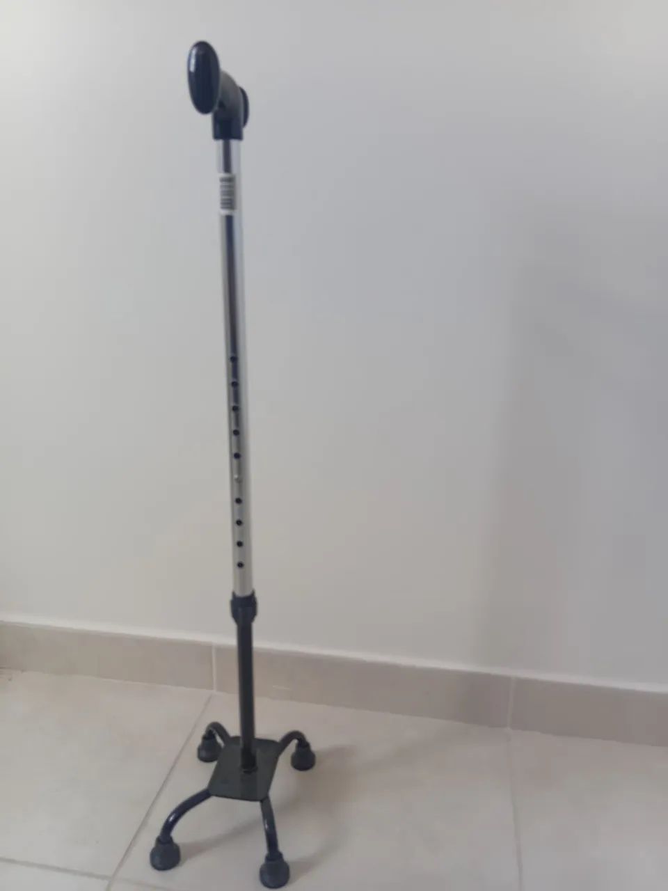 Bengala nova