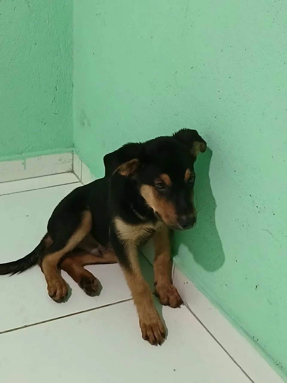 Vende-se  - Foto 3