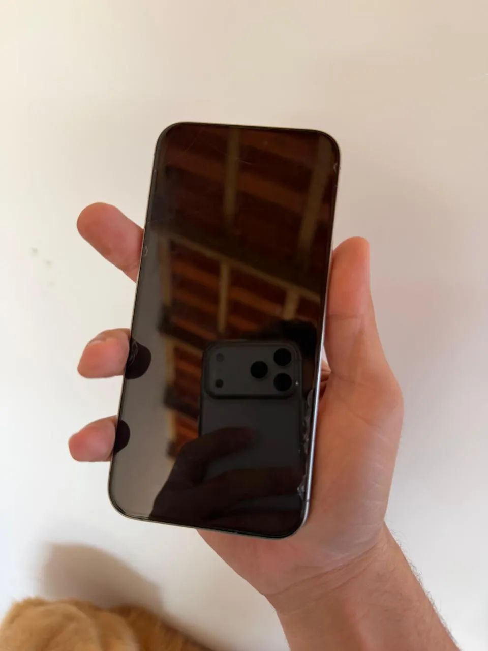 iPhone 15 Pro Max 256gb - Foto 5
