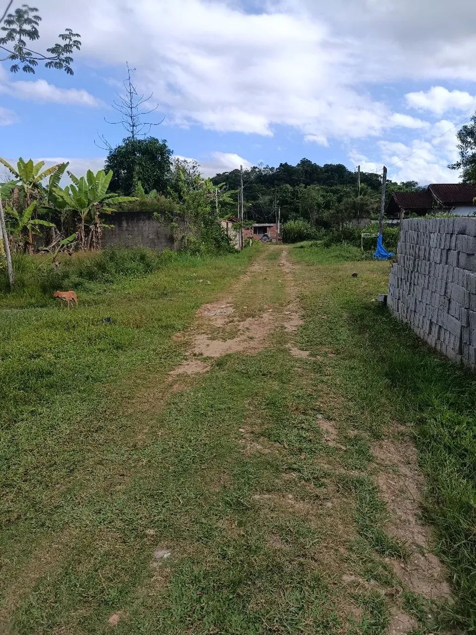 TERRENO NA PRAIA DE PERUÍBE!!! - Foto 5