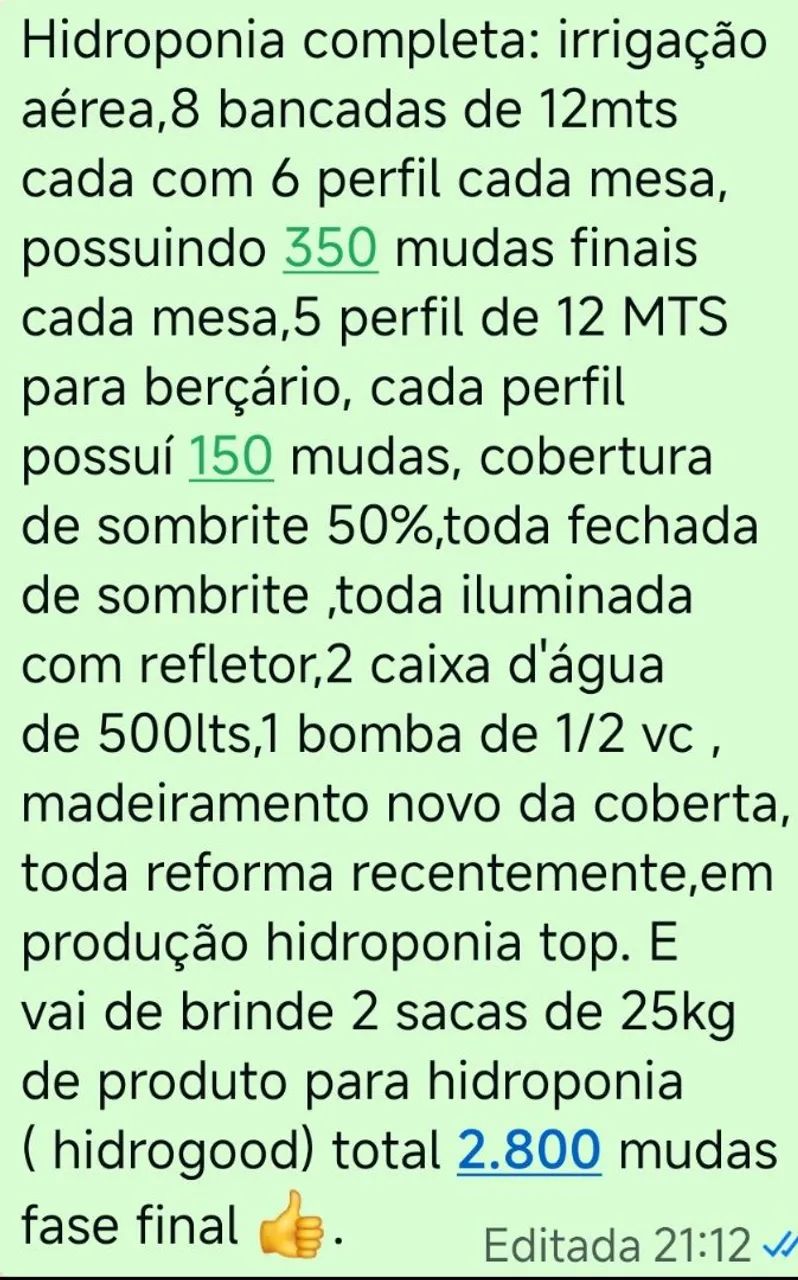 Hidroponia  - Foto 4