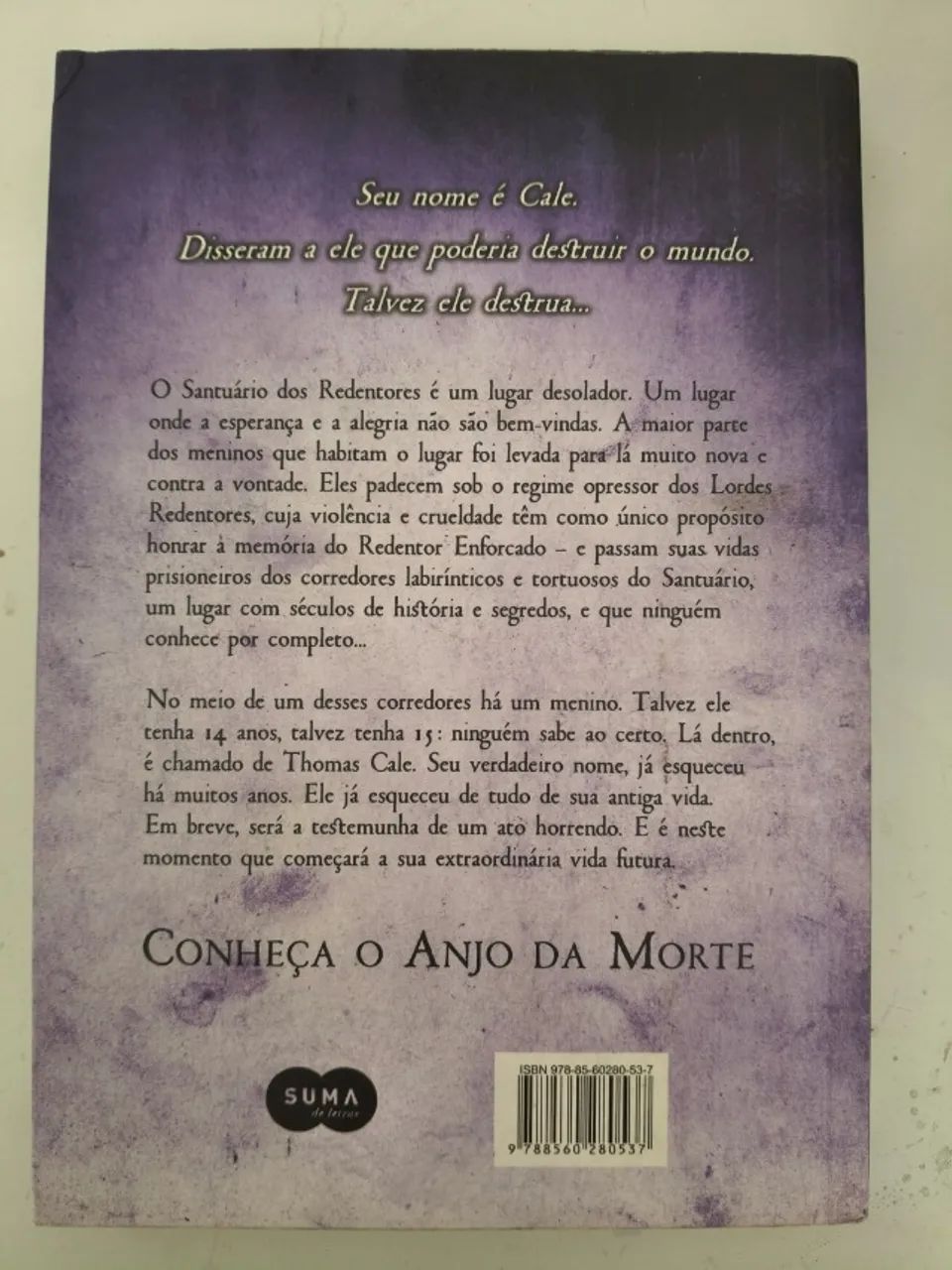 Livro A Mão Esquerda de Deus - Paul Hoffman - Foto 2
