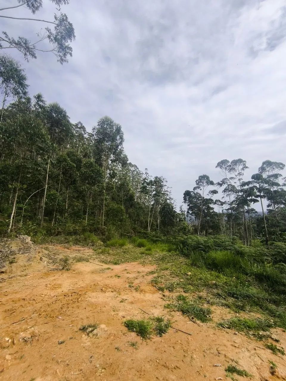 52 Hectares * Aceita permuta - Foto 8