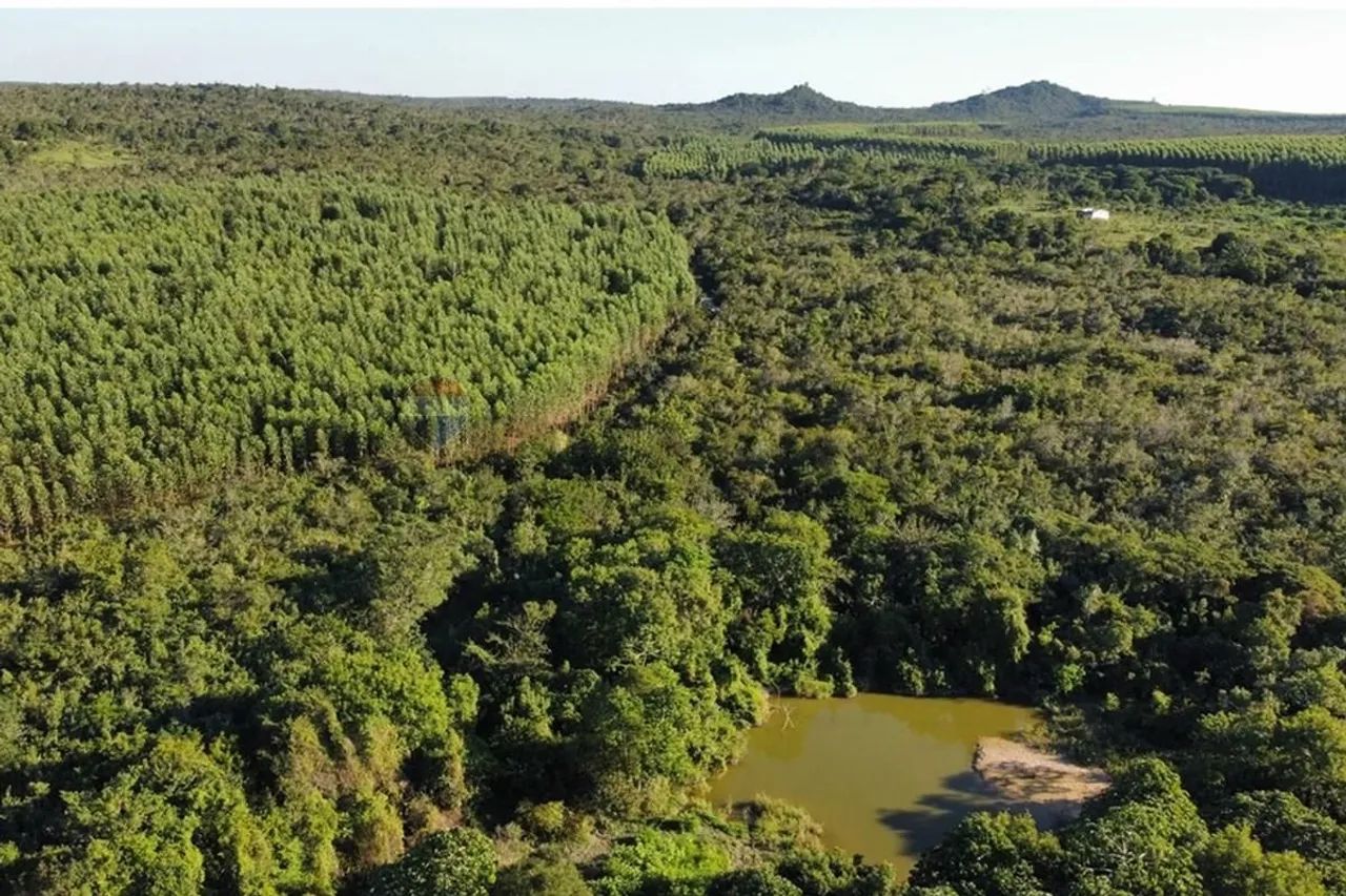 Fazenda yorama  - Foto 2