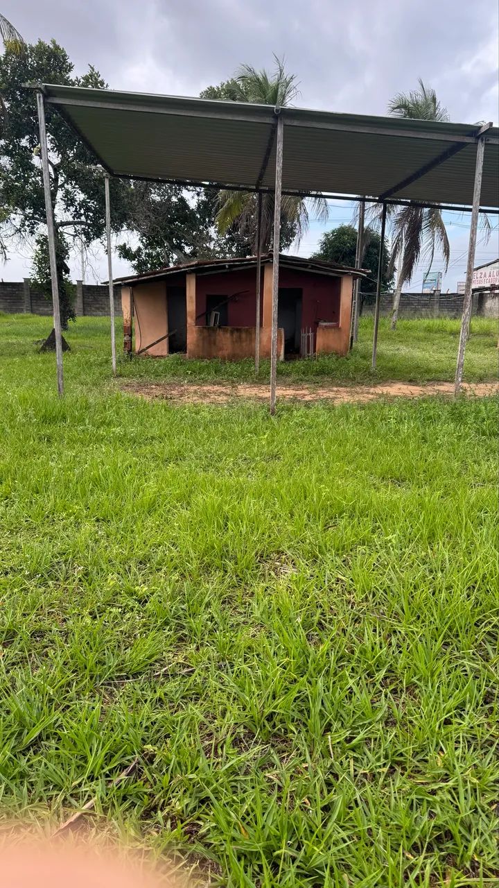 Granja  - Foto 3