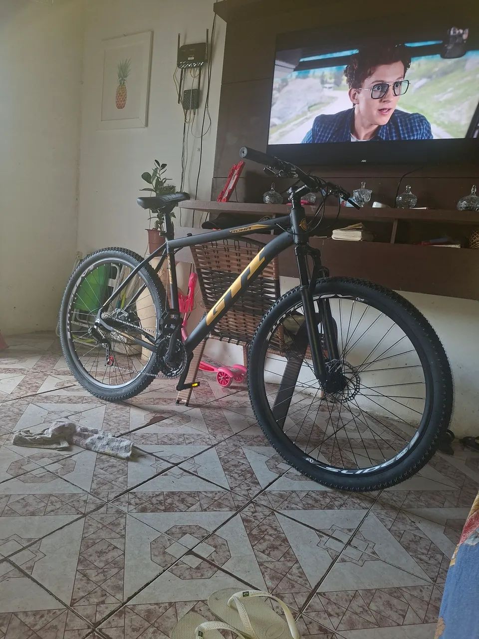 Bicicleta 
