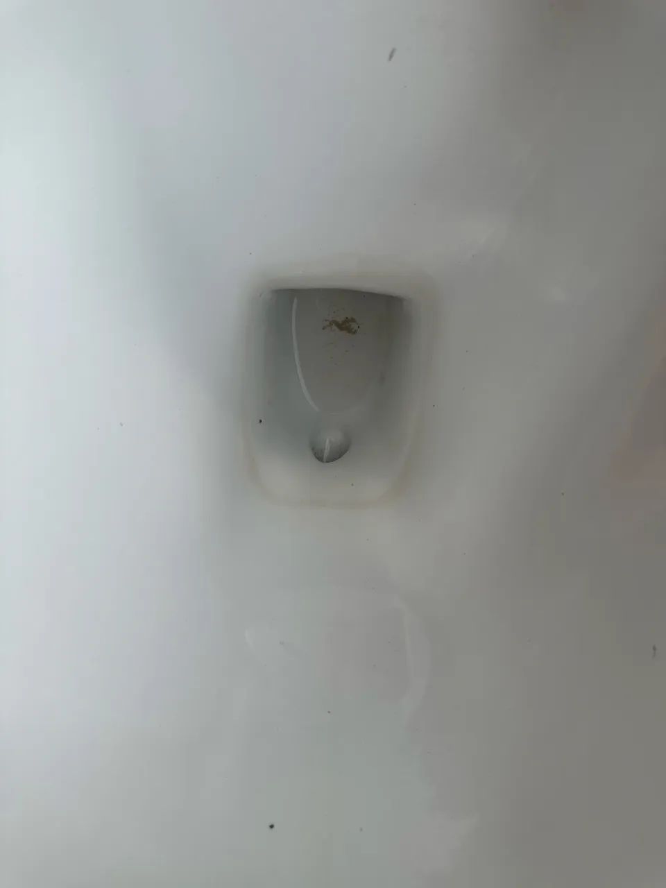 Vaso celite deficiente  - Foto 2
