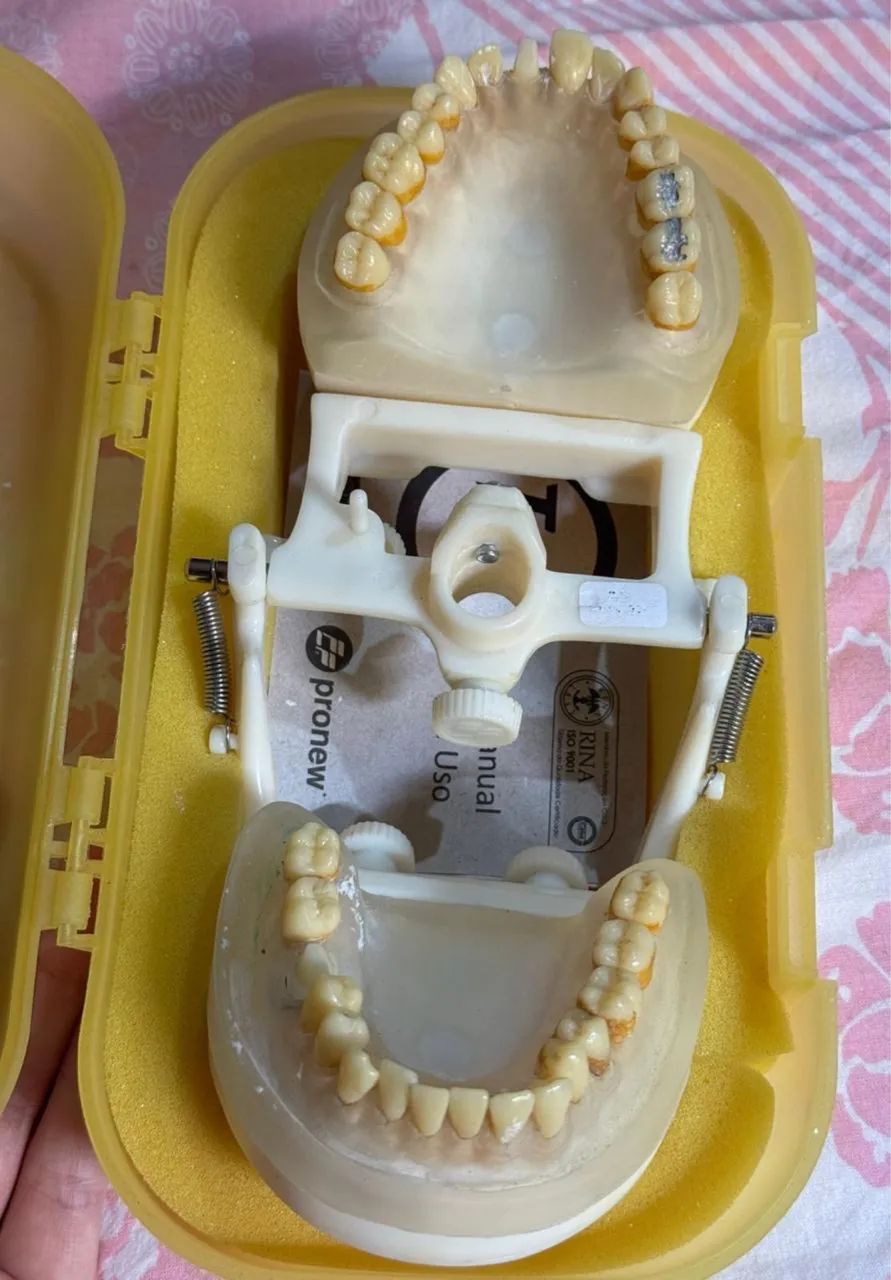 Manequim Odontológico  - Foto 4