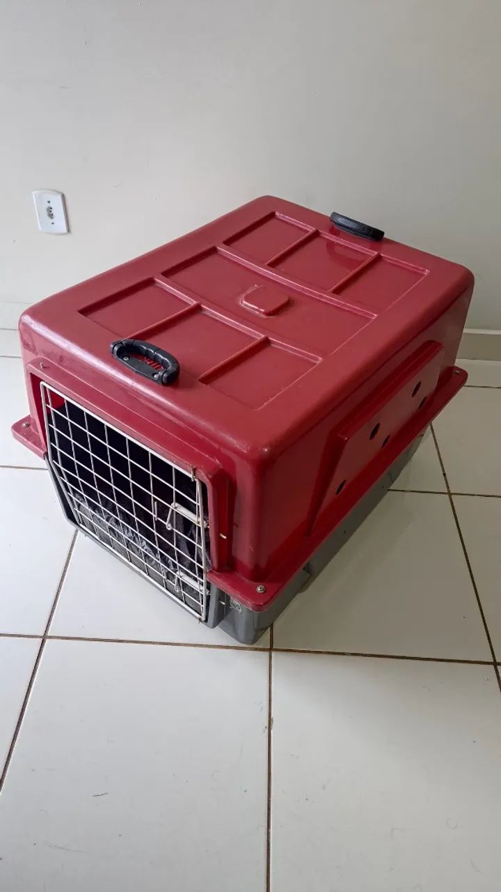 Caixa Transporte para Cães tamanho 5 Cães de Grande Porte - Foto 3