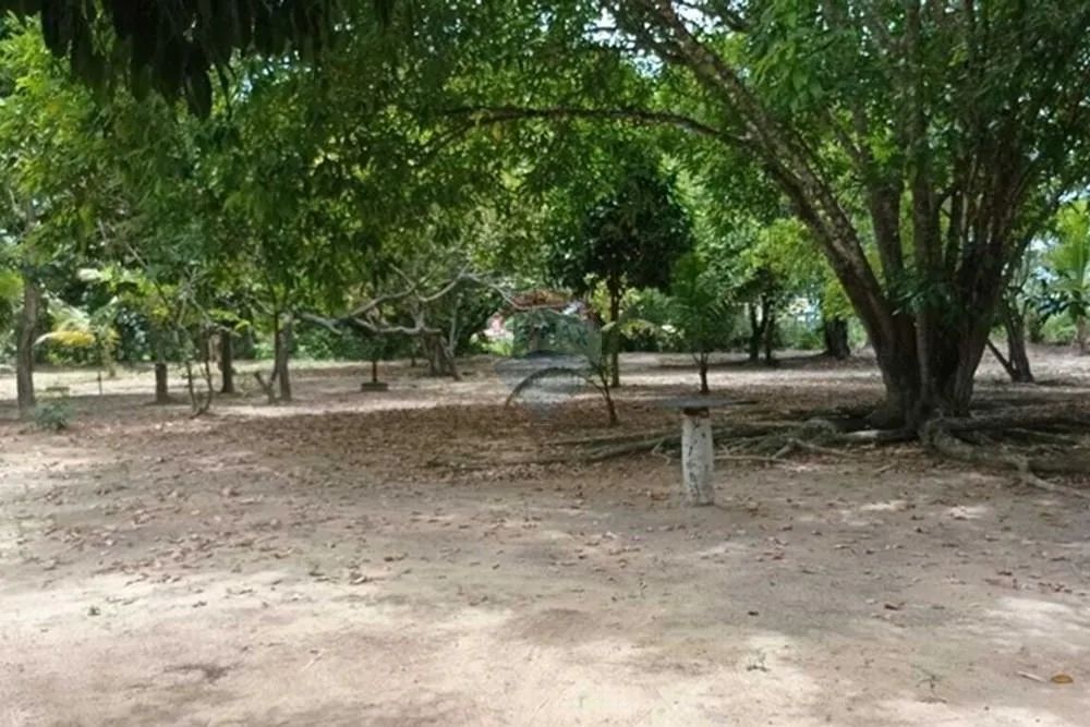 Vende chácara em Goiana - Foto 3