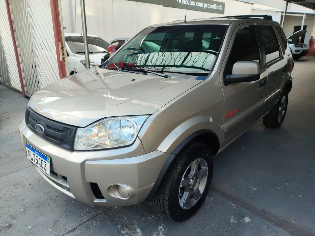 Ford Ecosport EcoSport XLT 1.6/ 1.6 Flex 8V 5p 2009