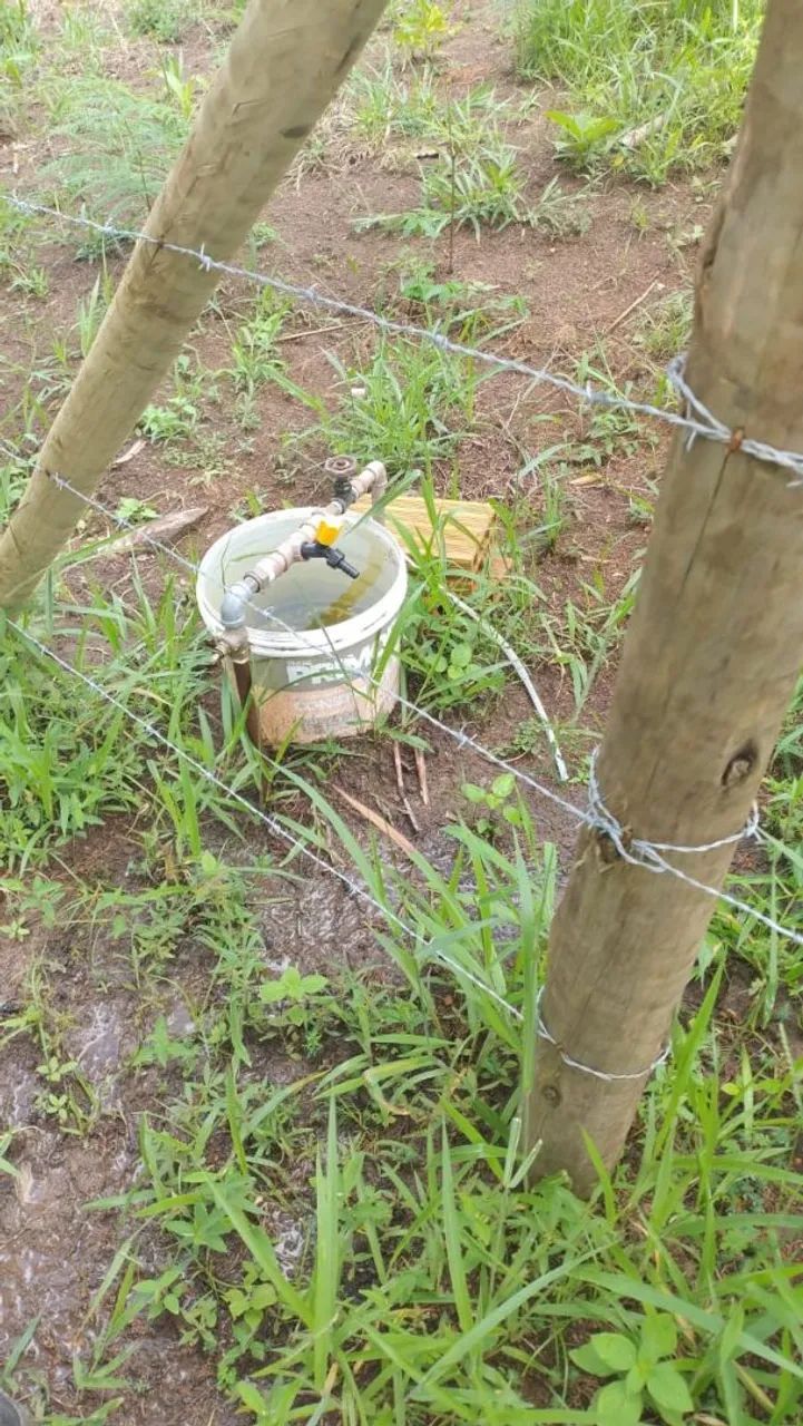 Terreno em Caeté  - Foto 5