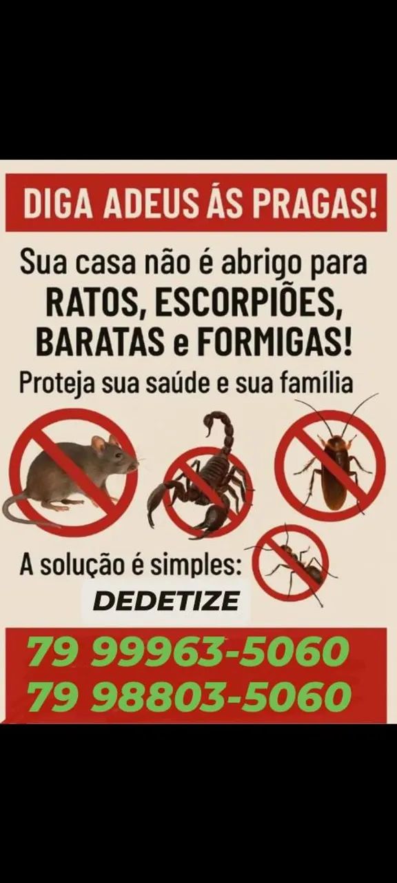 DEDETIZAÇÃO #TRANSPARÊNCIA E PREÇO JUSTO 